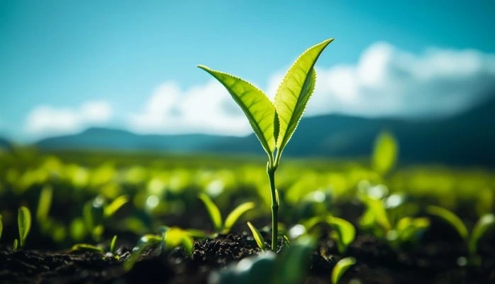 L’État accélère sa transition vers des achats plus responsables avec le SPASER 2025-2027